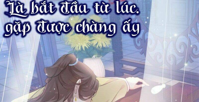 Kính Hoa Thương Chapter 41 - Trang 2